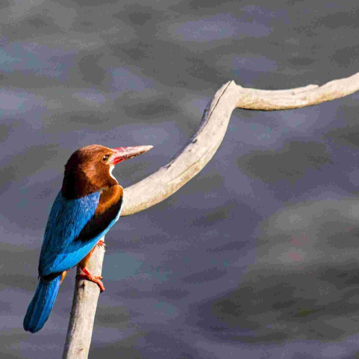 IMG_20180714_111020_850