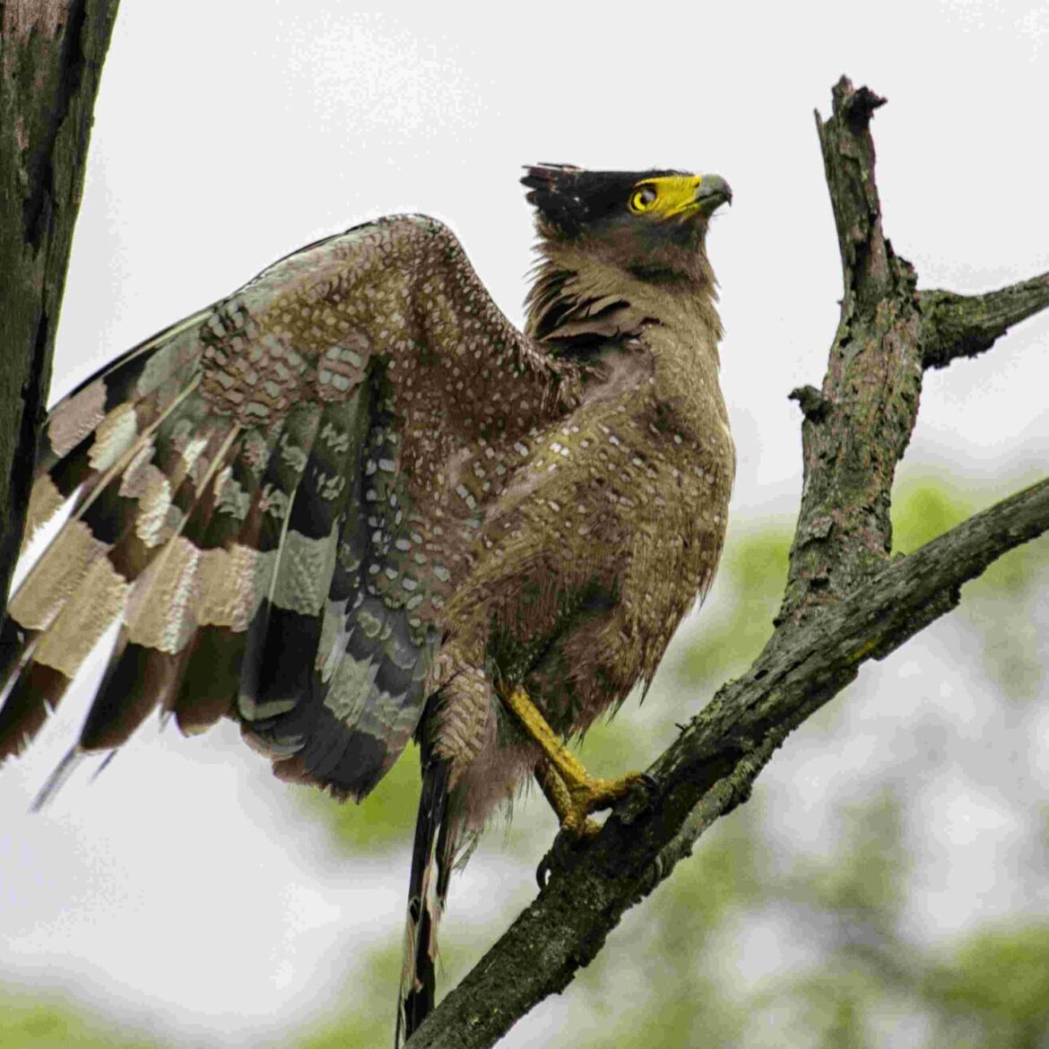 IMG_20200425_230928_778