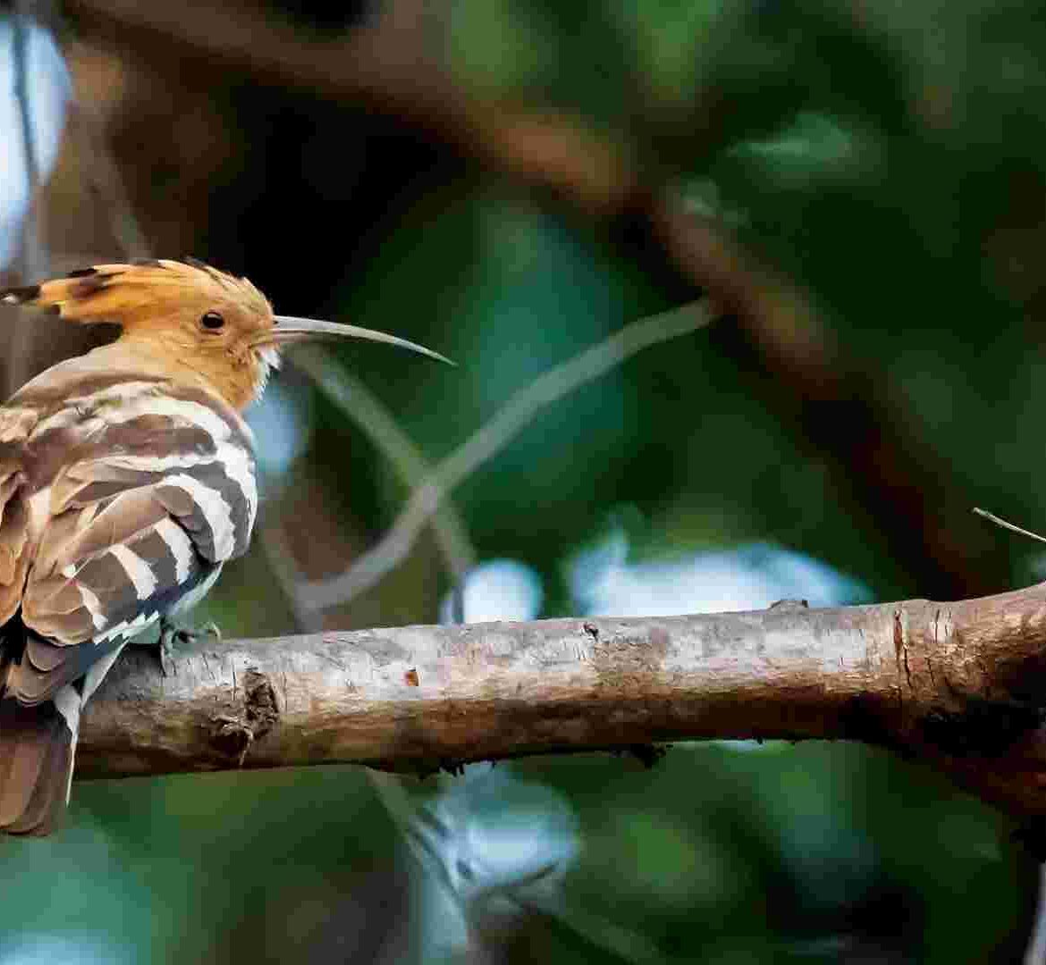 IMG_20200509_191922_123